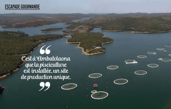  ??  ?? 1. Ce sont dans les eaux pures du lac artificiel de Mantasoa, uniquement alimenté par les eaux de pluie, que l’entreprise Rova Cavia a décidé d’implanter ses filets qui verront grandir les esturgeons.