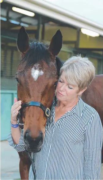  ?? Pictures: MIKE BATTERHAM ?? Caulfield Cup winner Jameka was bought back by owners Colin and Janice McKenna at the Magic Millions Broodmare Sale; and (below) Jameka with strapper Lucy Yeomans.