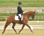  ??  ?? The five-year-old Furst Ruprecht adds a plus-72% novice gold win to his CV, under Richard Black