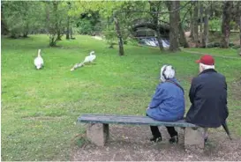  ?? / SENAD GUBELIĆ ?? Uživanje u ljepotama Vrela Bosne