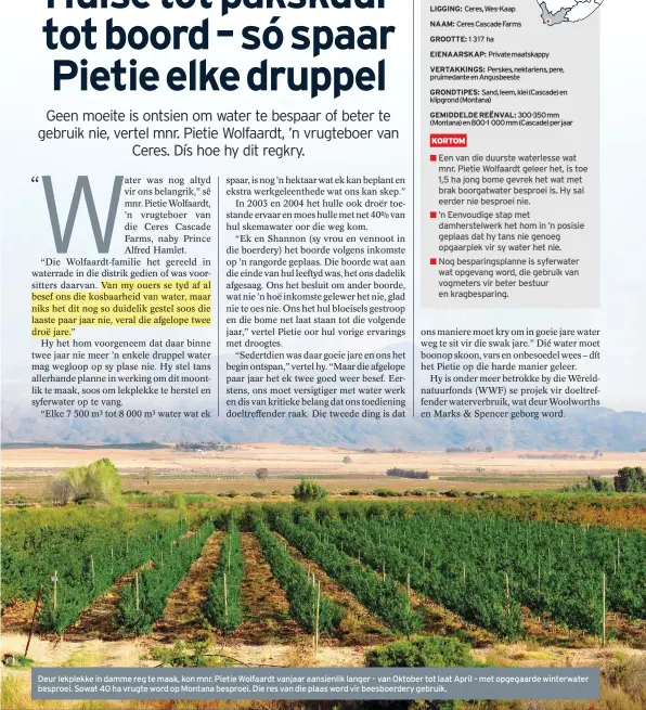  ??  ?? Deur lekplekke in damme reg te maak, kon mnr. Pietie Wolfaardt vanjaar aansienlik langer – van Oktober tot laat April – met opgegaarde winterwate­r besproei. Sowat 40 ha vrugte word op Montana besproei. Die res van die plaas word vir beesboerde­ry gebruik.