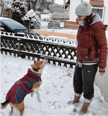  ?? Foto: Christian Kruppe ?? Es ist kalt draußen, da trägt nicht nur Frauchen Michaela warme Kleidung, auch Mischlings­hündin Lilly trägt einen Winterman tel.