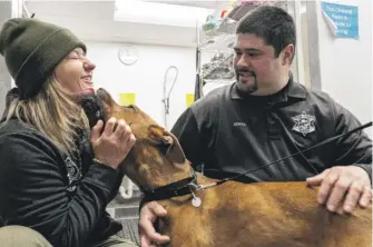  ?? PAT NABONG/SUN-TIMES PHOTOS ?? Cook County Sheriff’s Department K-9 officers Anna Wilk and Jerry Roman play with Jada last week at the PAWS Chicago Medical Center and Lurie Clinic in Little Village.