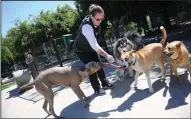  ??  ?? Karin Duncan, of Stockton, referees a tug-o-war in the large dog area at Barkleyvil­le Dog Park in Stockton on Tuesday.