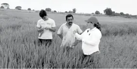  ??  ?? LABOR. También hay técnicos que atienden a los productore­s agropecuar­ios.