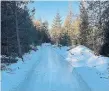  ?? Glide through a pine forest on Ottawa’s new Icelynd Skating Trails. ??