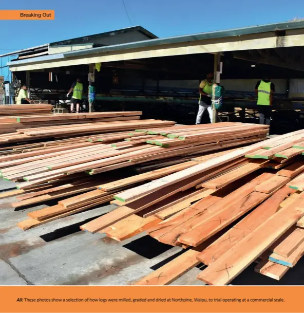  ??  ?? All: These photos show a selection of how logs were milled, graded and dried at Northpine, Waipu, to trial operating at a commercial scale.