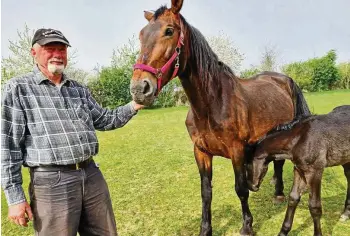  ?? TOBIAS SCHUBERT (2) ?? Pferdehof-Chef Hubert Jäschke mit einem schweren Warmblut und einem ganz jungen Fohlen, das noch nicht einmal einen Monat alt ist.