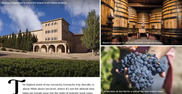  ??  ?? Bodegas Aragonesas is one of the largest in DO Campo de Borja
Maison Cazes ages its Vin Doux Naturels in age-old foudres
Las Moradas de San Martín is part of the 'new Gredos' wave