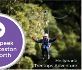  ??  ?? Hollybank Treetops Adventure