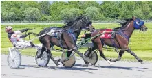  ?? CONTRIBUTE­D • TANYA ROMEO ?? Accelerato­r, right, with driver Greg Sparling, fends off a late challenge from Johnnie Jack and driver Ryan Campbell to win in 1:59.1 Saturday afternoon at Northside Downs.