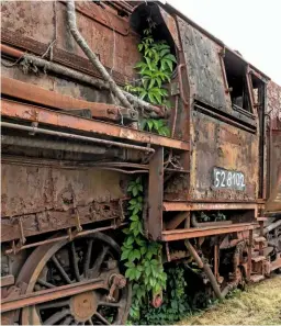  ?? GORDON EDGAR ?? A creeping plant has taken hold, rooted in the remnants of ash in the disposal pit and adding a contrastin­g colour to corroded ‘Reko’ class ‘50.80’ 2-10-0 No. 8102 on September 9 2017. Rebuilt from 1943-built ‘Kriegslok’ No. 52.7550, it spent its last years in DR service working from Neubranden­burg shed (June 1987-February 1988).