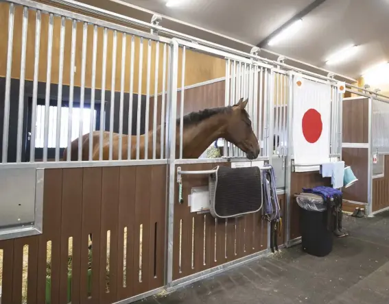  ??  ?? The Baji Koen Equestrian Park stables are airconditi­oned inside for the comfort of the horses during the hot, humid Tokyo summer.