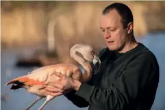  ??  ?? Left: Owen Joiner is hoping to build up a flock of 40 flamingos.