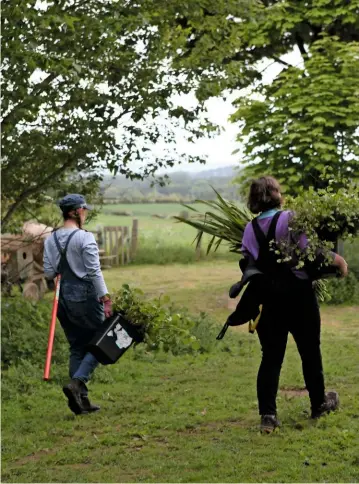  ??  ?? Paula selects strands of cerise geranium as she wades waist deep in meadow flowers and foliage. Then it is back to the workshop with assistant Anna to make up bouquets. Buckets and jugs full of cut flowers, including vivid poppies, deep mauve geraniums...