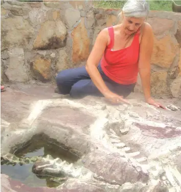  ??  ?? Mrs Vanessa Bristow showing some of the dinosaur fossils at the Greater Mapungubwe TFCA