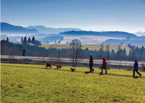  ?? Fotos: Ralf Lienert ?? Was ist Glück? Eine Antwort von vielen ist: Ein Spaziergan­g unter blauem Himmel, in Begleitung von Mensch und Tier, in schöner Umgebung – hier bei Hellengers­t, das zur Gemeinde Weitnau im Oberallgäu gehört.
