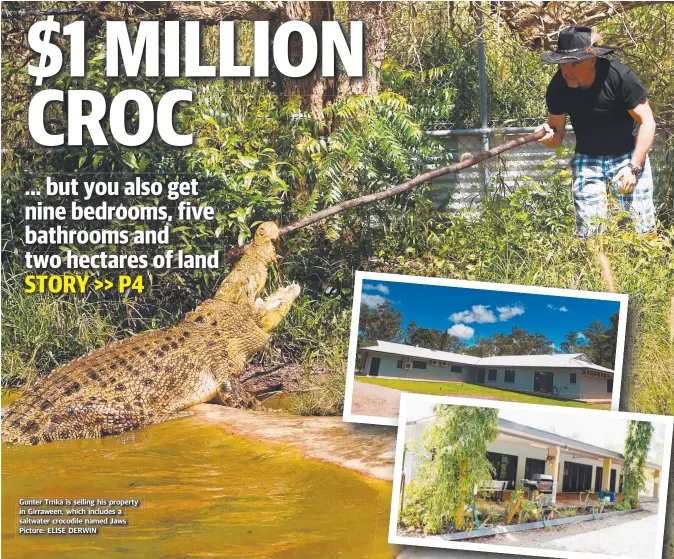  ?? Picture: ELISE DERWIN ?? Gunter Trnka is selling his property in Girraween, which includes a saltwater crocodile named Jaws