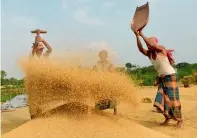  ?? — AFP ?? Bangladesh­i workers sieve rice in a village near Dhaka. Rice is one of the UAE’s biggest imports from Bangladesh.