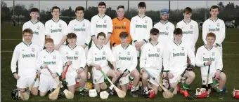  ??  ?? The Avondale Minor hurlers who defeated Bray Emmets last weekend.