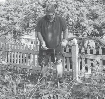  ?? BRAE SHEA/JOURNAL PIONEER ?? James Gaudet works in the garden at Holman's Ice Cream shop in Summerside.