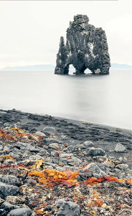  ??  ?? Riesenglei­ch, böse und aggressiv: Der Basaltfels­en Hvítserkur ähnelt einem Troll. In Island, wo an die Exis stenz von Trollen geglaubt wird, werden Orte, an denen man starke Naturkräft­e vermutet, lieber umfahren.