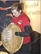  ?? ANDREA PEACOCK/The Okanagan Sunday ?? Tamara Loney, co-ordinator of the Vancouver Aquarium Aqua Van, shows off a turtle shell in Kelowna on Saturday.
