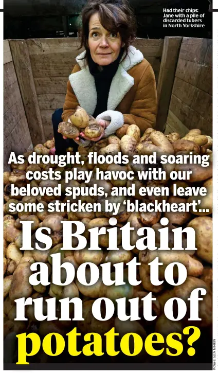  ?? ?? Had their chips: Jane with a pile of discarded tubers in North Yorkshire