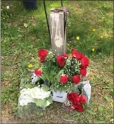  ?? NICOLE O’REILLY, THE HAMILTON SPECTATOR ?? Flowers have been placed at the scene in Waterdown where a 10-year-old girl was struck by a car on Tuesday.