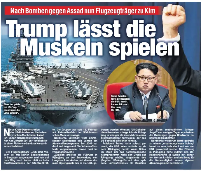  ??  ?? Einer der größten US-Flugzeugtr­äger: die „USS Vinson“.