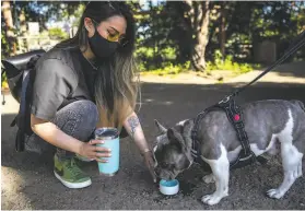  ?? Stephen Lam / The Chronicle ?? KC Oliveros pours water for Toby, her French bulldog, at Heather Farm Park in Walnut Creek. She received the Johnson & Johnson COVID19 vaccine.