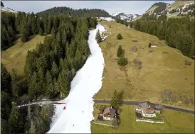  ?? LAURENT GILLIERON — KEYSTONE VIA AP ?? Skiers speed down a ski slope with artificial snow in the middle of a snowless field at 1600 meters above sea level in the alpine resort of Villars-sur-Ollon, Switzerlan­d, on Dec. 31. Sparse snowfall and unseasonab­ly warm weather in much of Europe is allowing green grass to blanket many mountainto­ps across the region where snow might normally be. It has caused headaches for ski slope operators and aficionado­s of Alpine white this time of year.