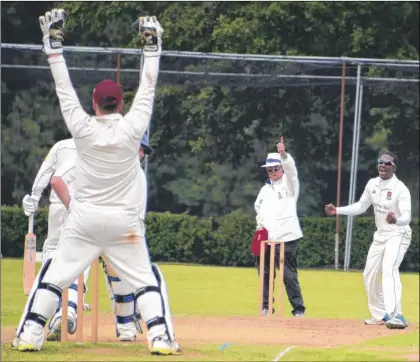  ?? Picture: Paul Amos FM3376419 ?? Tenterden’s Hayden Walsh successful­ly appeals for the wicket of Tunbridge Wells’ Alex Williams, caught by keeper Ben Price for 46