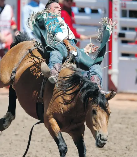  ?? AL CHAREST ?? Richie Champion of Dublin, Texas, rides Garden Party to a winning score of 86.50 in bareback riding on Friday at the Stampede.