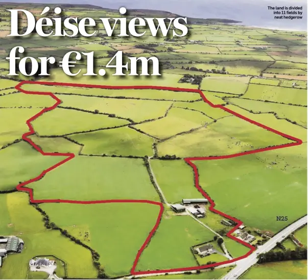  ??  ?? The land is divided into 11 fields by neat hedgerow