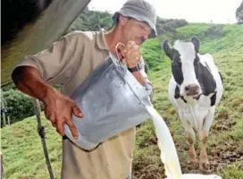  ?? FOTO ARCHIVO ?? Según el Dane, solo en agosto las importacio­nes de leche y productos lácteos aumentaron un 8,5 %.