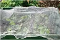  ?? ?? when low temperatur­es are forecast. If you keep them in shallow boxes or trays, those are easy to cover with horticultu­ral fleece, pictured, if necessary.