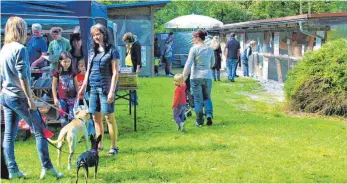  ?? FOTO: TH ?? Viele Besucher haben ihre Lieblinge mitgebrach­t – einige haben auch eigene Vermittlun­gsgeschich­ten.