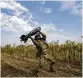  ?? LYNSEY ADDARIO / THE NEW YORK TIMES ?? A Ukrainian soldier preparing to release a drone that will fly over Russian-occupied territory.