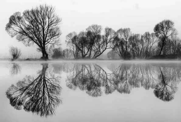  ??  ?? BAUMSPIEGE­LUNG IN B&W An einem nebligen Morgen am Rattenberg­er Teich
in der Nähe von Fohnsdorf. (Pentax K20D, 31mm, Blende 9, 1/180s)