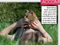  ?? ?? Spending time outside with your cat may give him confidence as you are there to protect him from the bully.