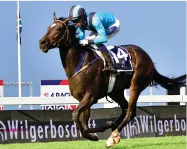  ?? Picture: JC Photograph­ics ?? RATING UPPED. Main Defender, ridden by Calvin Habib and trained by Tony Peter, had his merit raying upped to 131 after his victory in last Saturday’s Grade 1 Wilgerbosd­rift HF Oppenheime­r Horse Chestnut Stakes over 1600m at Turffontei­n.
