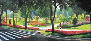  ??  ?? The green paths in the Pearl River Delta cities are part of the province’s latest moves to improve the environmen­t and people’s quality of life.