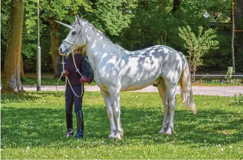  ?? Fotos: Uwe Bolten ?? Ein märchenhaf­tes Einhorn besuchte das Fest der Pferdefreu­nde Wertachau.