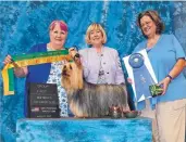  ??  ?? LEFT: Silky terrier Joie de Vivre Winddancer Stoli My Heart stands as tall as he can with owner Sherri Sollars, center, as he takes home the New Mexico Toy Group Club Group First Place award last year. Stoli took home Best of Breed at the Westminste­r...