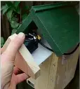  ??  ?? Keep an eye on nesting birds with the RSPB’S Nest Box Camera