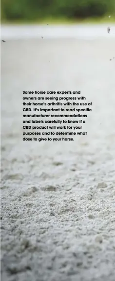  ??  ?? some horse care experts and owners are seeing progress with their horse’s arthritis with the use of CBD. it’s important to read specific manufactur­er recommenda­tions and labels carefully to know if a CBD product will work for your purposes and to determine what dose to give to your horse.