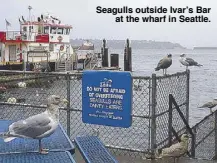  ??  ?? Seagulls outside Ivar’s Bar at the wharf in Seattle.