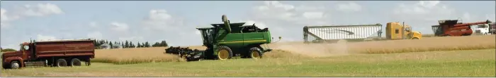  ?? Photos by Matthew Liebenberg ?? Trucks stand ready to receive a load of canola during the harvesting of a crop for Rock Solid Refuge, Aug. 31.