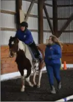  ?? MARIAN DENNIS — MEDIANEWS GROUP ?? Ann Minehart, 24, has been attending Sebastian Riding Associates for several years. Here she and horse, Gunner, go through an obstacle course during a session.